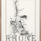 Rhône wine map