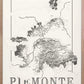 Piemonte Wine map poster. Exclusive wine map posters. Wine art. Wine print. Wine poster. Premium quality wine maps printed on environmentally friendly FSC marked paper. 