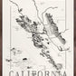California Wine map poster. Exclusive wine map posters. Premium quality wine maps printed on environmentally friendly FSC marked paper. 