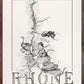 Rhône wine map