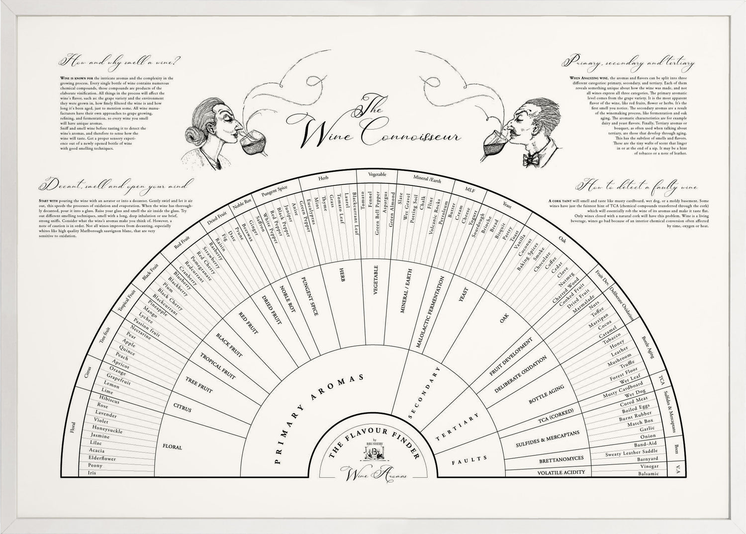 Wine art. Wine print. Wine poster. Flavour finder. Wine Aroma wheel, flavour finder wine, wine connoisseur. Exclusive kitchen posters. Premium quality art prints, printed on environmentally friendly FSC marked paper. 